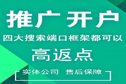 高效SEM托管公司案例对比分析